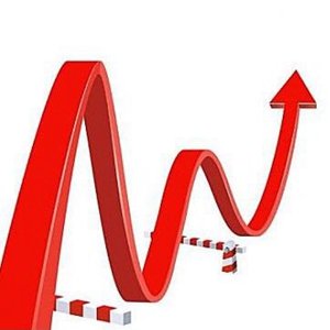 合富中国：因股价短期内 涨幅较大 公司股票将于 11月17日起停牌核查